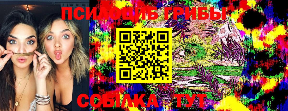 Берёзовский  Галлюциногенные грибы GOLDEN TEACHER  цена наркотик  Вход с VPN 