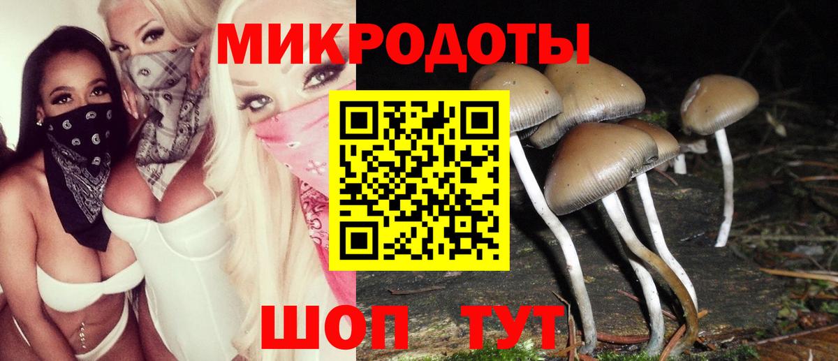 Галлюциногенные грибы Cubensis Берёзовский